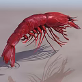 Vibrant Red Shrimp Aquatic Animal With Long Antennae And Delicate Legs
