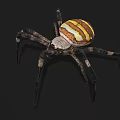 Yellow White and Brown Striped Spider With Long Legs On Dark Background