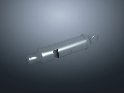 Silver Metallic Tubular Object With Cylindrical Shape Smooth Surface And Central Opening 3d model