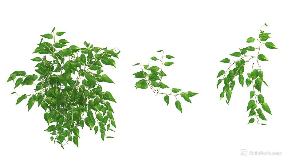 Healthy Lush Green Shrub With Vibrant Leaves And Diverse Branch Structures 3d model 