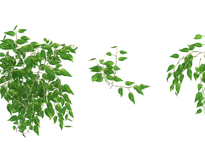 Healthy Lush Green Shrub With Vibrant Leaves And Diverse Branch Structures 3d model
