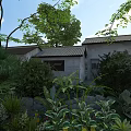 Traditional Garden Landscape With Lush Greenery Various Plants And Stone Wall