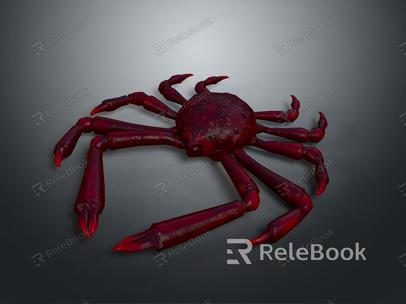 crab sea crab river crab hairy crab bread crab hermit crab big crab small crab marine animal fish model