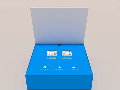 Ornament Decoration Set In Open Blue Box With QR Codes And Icons 3d model