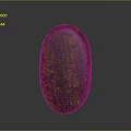 Wooden Stone Decorative Object With Oval Shape Polished Surface Textured Amber Brown Glossy Finish