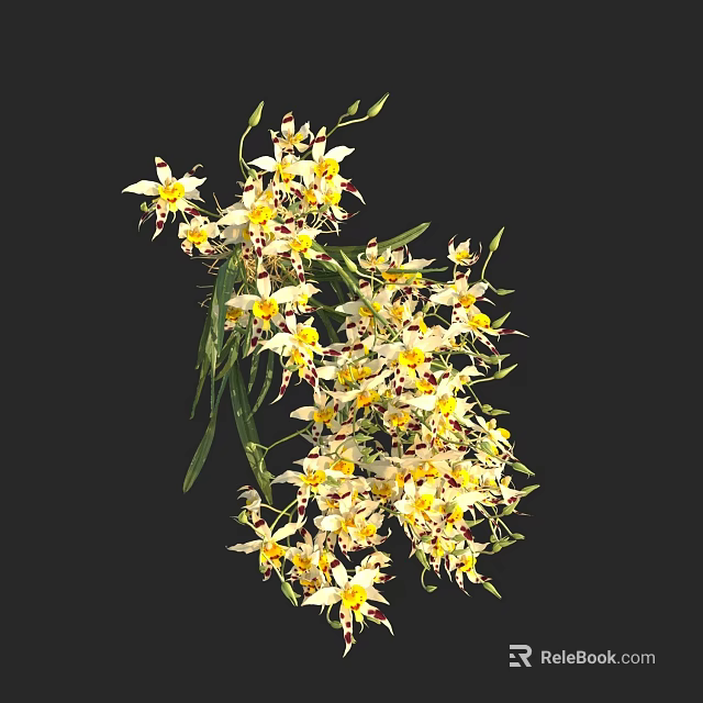 Beautiful White And Yellow Orchids With Green Leaves And Red Spots 3d model 
