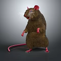 Brown Rat Standing With Red Ears Paws Tail And White Whiskers On Gray Background