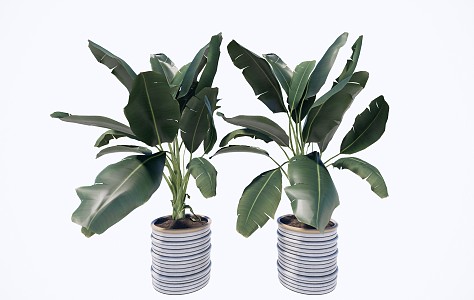 Modern Potted Plant Green Plant Potted Plant Furnishings 3d model