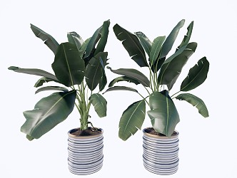 Modern Potted Plant Green Plant Potted Plant Furnishings 3d model