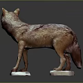 Standing Wolf Sculpture With Open Mouth Brown Purple Spots On White Bases