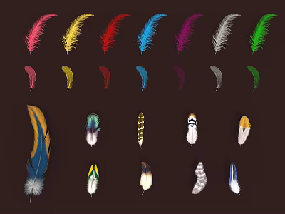 Colorful Feather Decorative Ornament Set Featuring Various Colors And Different Patterns For Home Decor 3d model