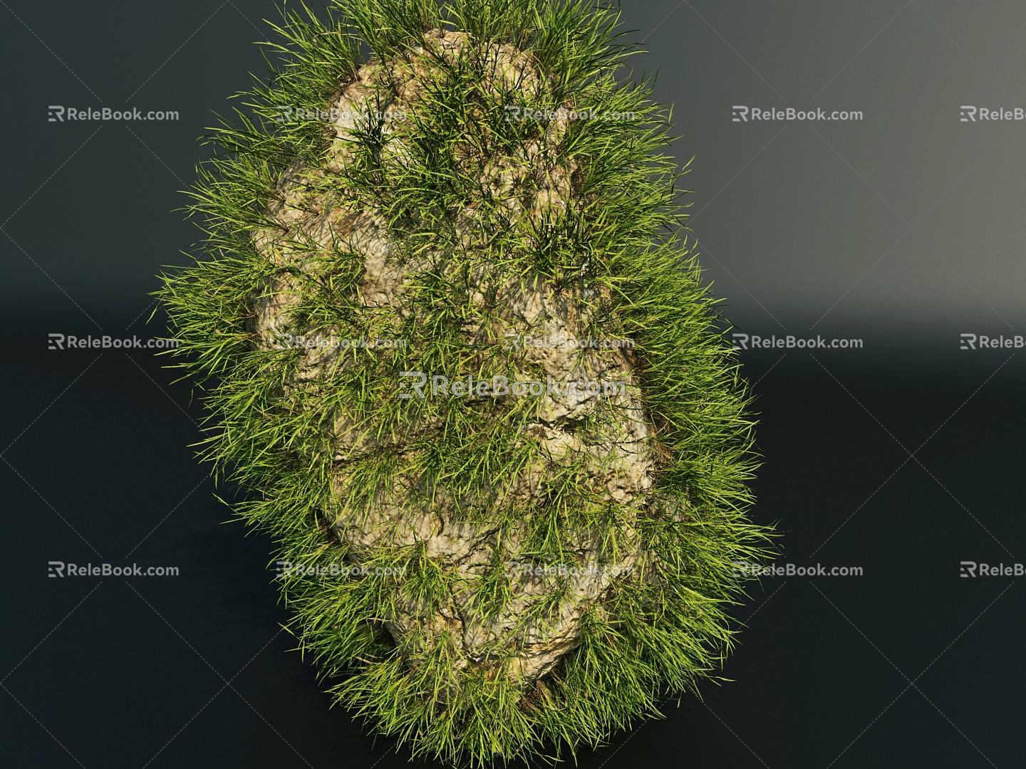 Long Grass Stone Stone Landscape Stone Sketches Stone Stone Decoration 3d model