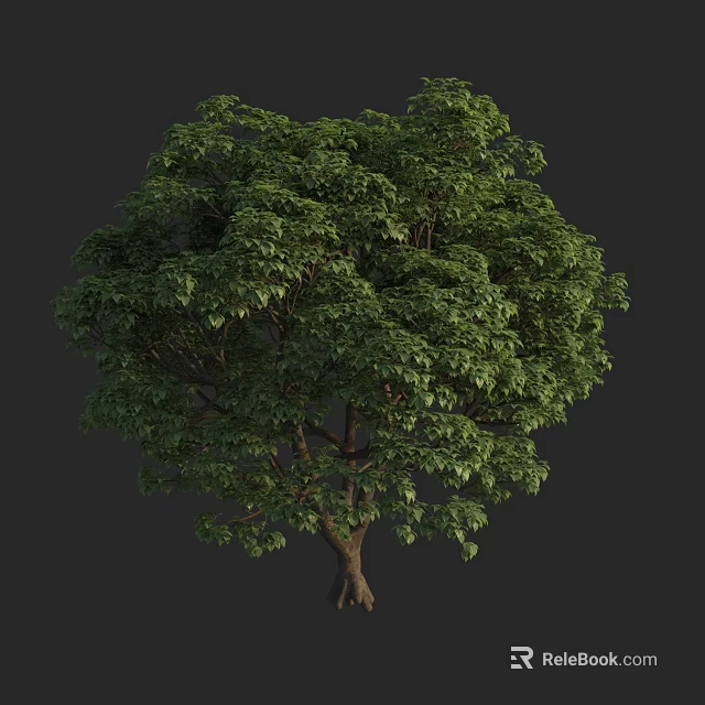 Lush Green Arbor Tree With Dense Foliage And Strong Trunk Structure 3d model 