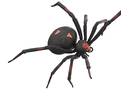Black and Red Reptile With Distinctive Markings And Scaled Exterior Features 3d model