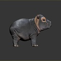 Hippo Land Animal Hippo Stone Statues Hippo Carving Hippo Ornaments Old Stone Carving Hippo Antique Stone Carving 3d model