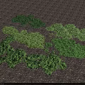 Lush Green Moss Growing on Gray Pebble Ground in Scattered Natural Pattern
