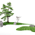 Karesansui Garden Design With Pine Tree Cherry Blossom Rocks And Mossy Grass 3d model