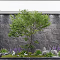 Tranquil Indoor Landscape With Large Tree Textured Stone Wall And Green Plants