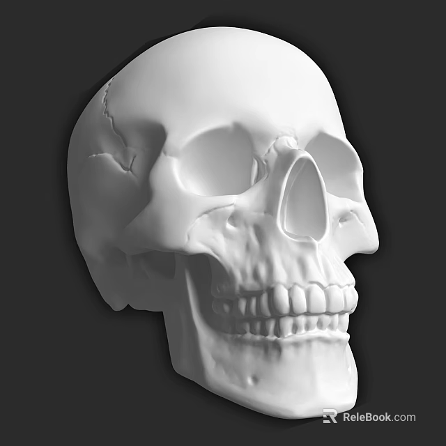 White Skull Sculpture Carving With Detailed Facial Features And Teeth 3d model 
