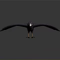 Purple Raven Flying with Spread Wings and Sharp Claws on Dark Background 3d model