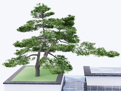 Graceful Ornamental Arbor With Square Base Green Lawn And Stone Path 3d model