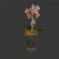 Elegant White Orchid Plant With Green Leaves In Black Glass Vase