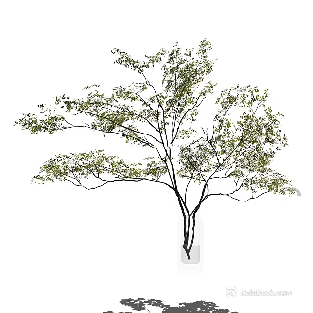 Modern White Vase With Slender Green Leaf Branches For Home Decoration 3d model 