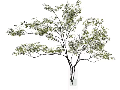 Modern White Vase With Slender Green Leaf Branches For Home Decoration 3d model