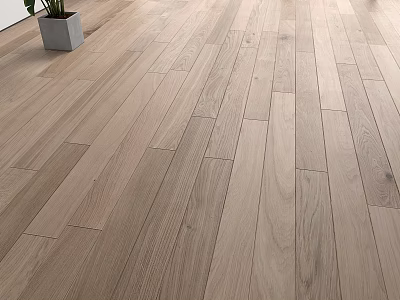 Light Natural Wooden Flooring With Smooth Surface And Clear Wood Grain Texture 3d model