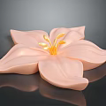 Pink Flower With Elegant Soft Petals And Bright Yellow Stamens On Reflective Surface