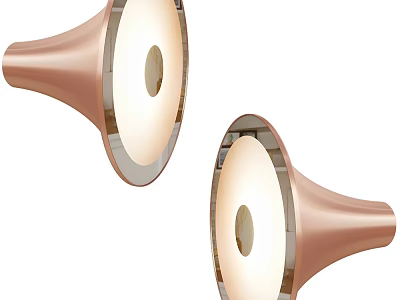 Modern Minimalist Rose Gold Wall Lamps With Round Light Shade And Metal Finish 3d model