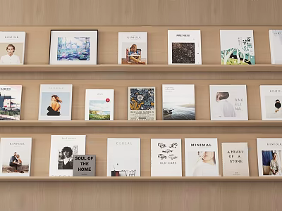 Various Books and Magazines Arranged on Wooden Shelves with Cover Designs 3d model
