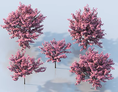 Modern Tree Landscape Trees 3d model
