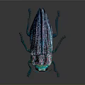 Iridescent Metallic Beetle With Colorful Exoskeleton And Shiny Legs On Dark Surface