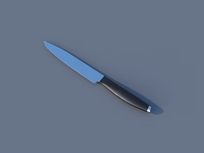 Stainless Steel Blade Weapon With Sharp Edge And Black Handle 3d model