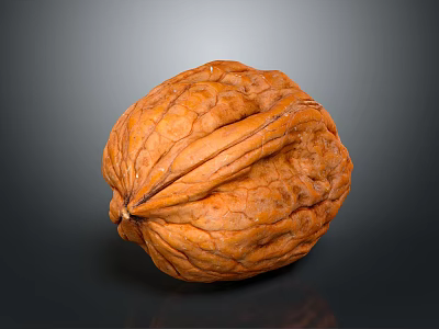 Fresh Walnut with Brown Shell and Natural Surface Texture on Dark Background 3d model