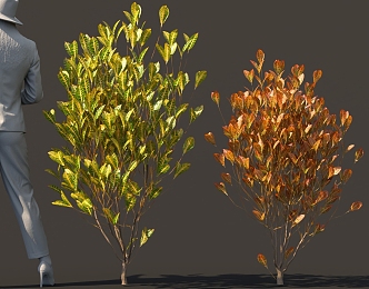 Shrubs, green plants, multicolored flowers, small trees 3d model