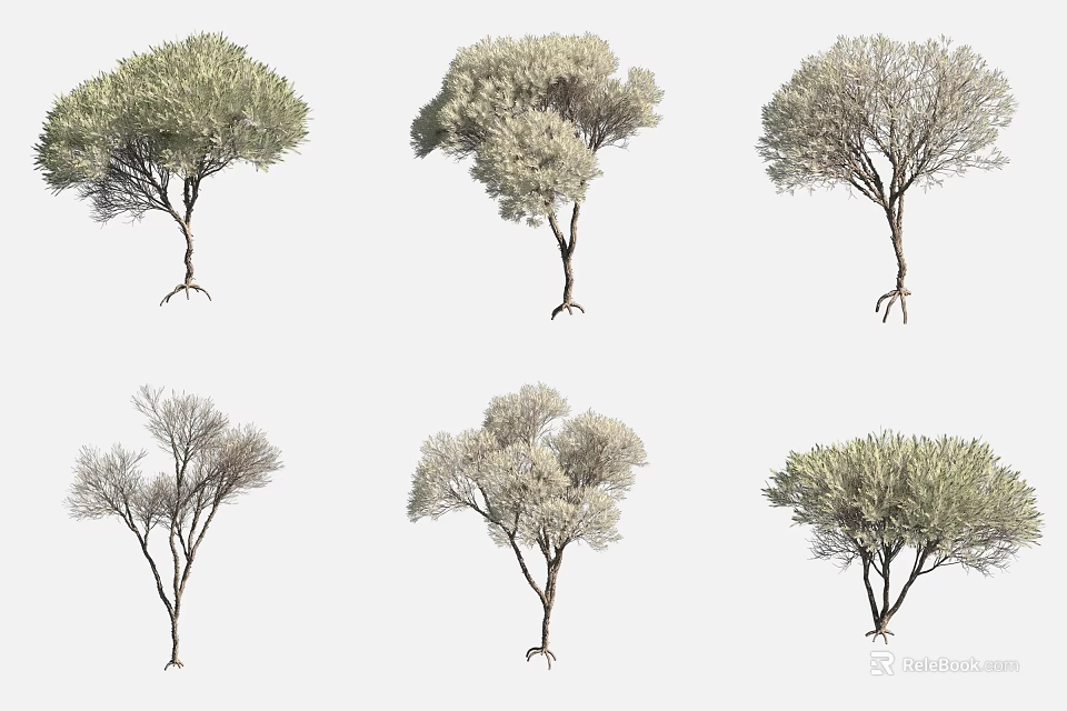 Aquatic Plants With Exposed Roots And Diverse Foliage Growth Forms 3d model