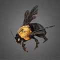 Detailed Flying Insect With Black And Yellow Body Transparent Wings And Compound Eyes