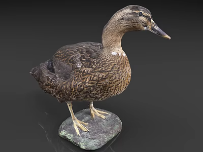Brown Duck With Detailed Feathers Standing On A Gray Stone Base 3d model