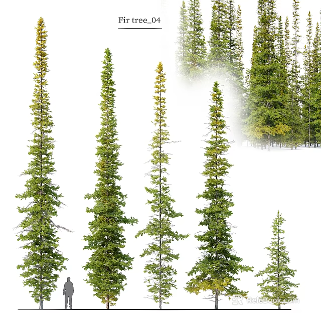 Diverse Garden Miniature Plant Scapes With Different Height Pine Trees And Lush Greenery 3d model 
