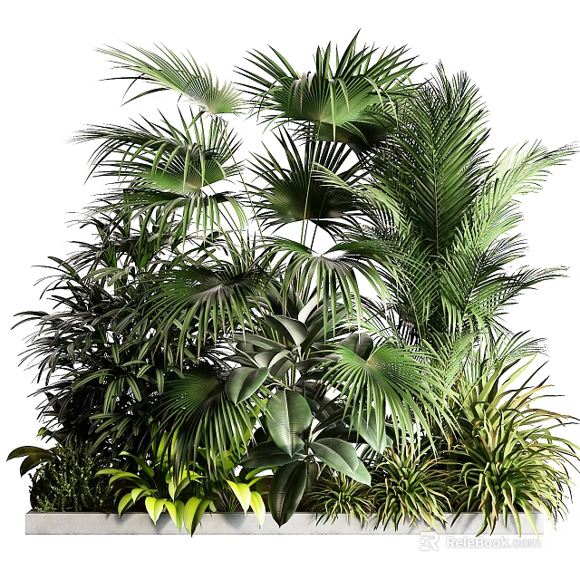 Lush Green Indoor Plants With Various Palm Leaves And Tropical Foliage 3d model 
