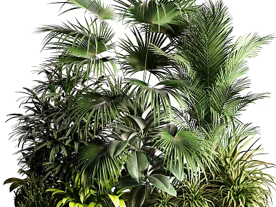 Lush Green Indoor Plants With Various Palm Leaves And Tropical Foliage 3d model