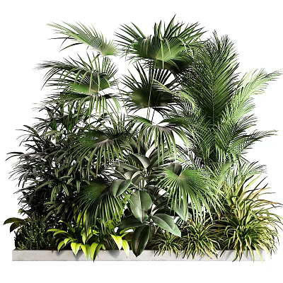 Lush Green Indoor Plants With Various Palm Leaves And Tropical Foliage 3d model