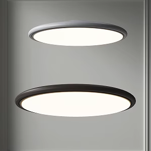 Ceiling Lamp Round Minimalist Ceiling Lamp Simple Guest Restaurant Ceiling Lamp Office Ceiling Lamp Bedroom Balcony Ceiling Lamp 3d model