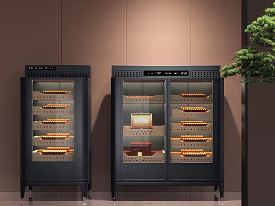 Black Double Door Glass Cabinet with Display Shelves in Modern Interior with Plant 3d model