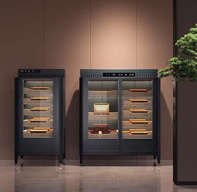 Black Double Door Glass Cabinet with Display Shelves in Modern Interior with Plant 3d model