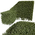 Lush Green Trimmed Bushes With Square And Cylindrical Shapes In Garden