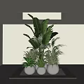 Potted Plants with Large Leaf Greenery and Small Planters in Modern Indoor White Decor 3d model