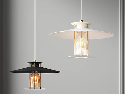 Modern Pendant Lights In Black And White With Minimalist Design For Interior 3d model